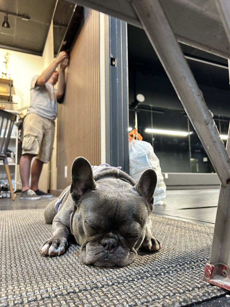 AutomationPanda's tweet image. New accent walls at the dance studio.
I have those hard blue collar skills for when AI takes all the software jobs.