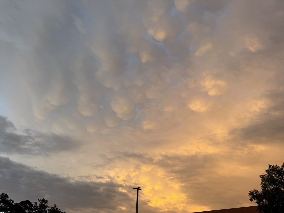 Some mammatus clouds visible here on High Road following today’s storms! <a href="/NWSTallahassee/">NWS Tallahassee</a>
