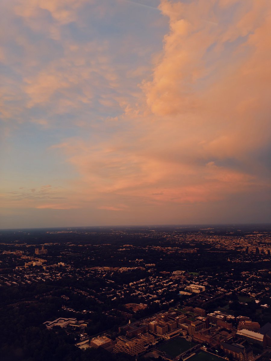 Mark Alan Andre tweet media