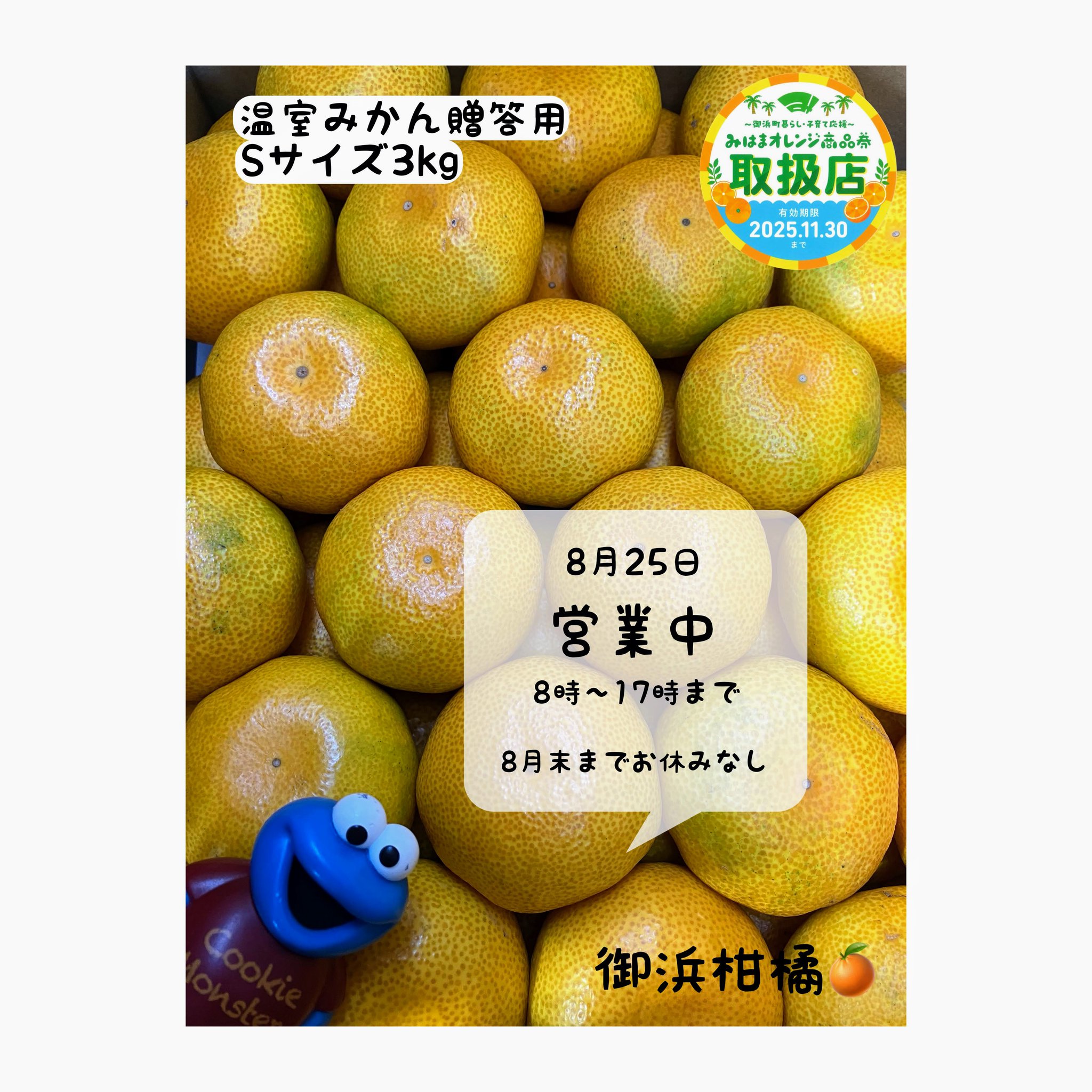 【みかん】 こだわりみかん”の御浜柑橘 on X: 