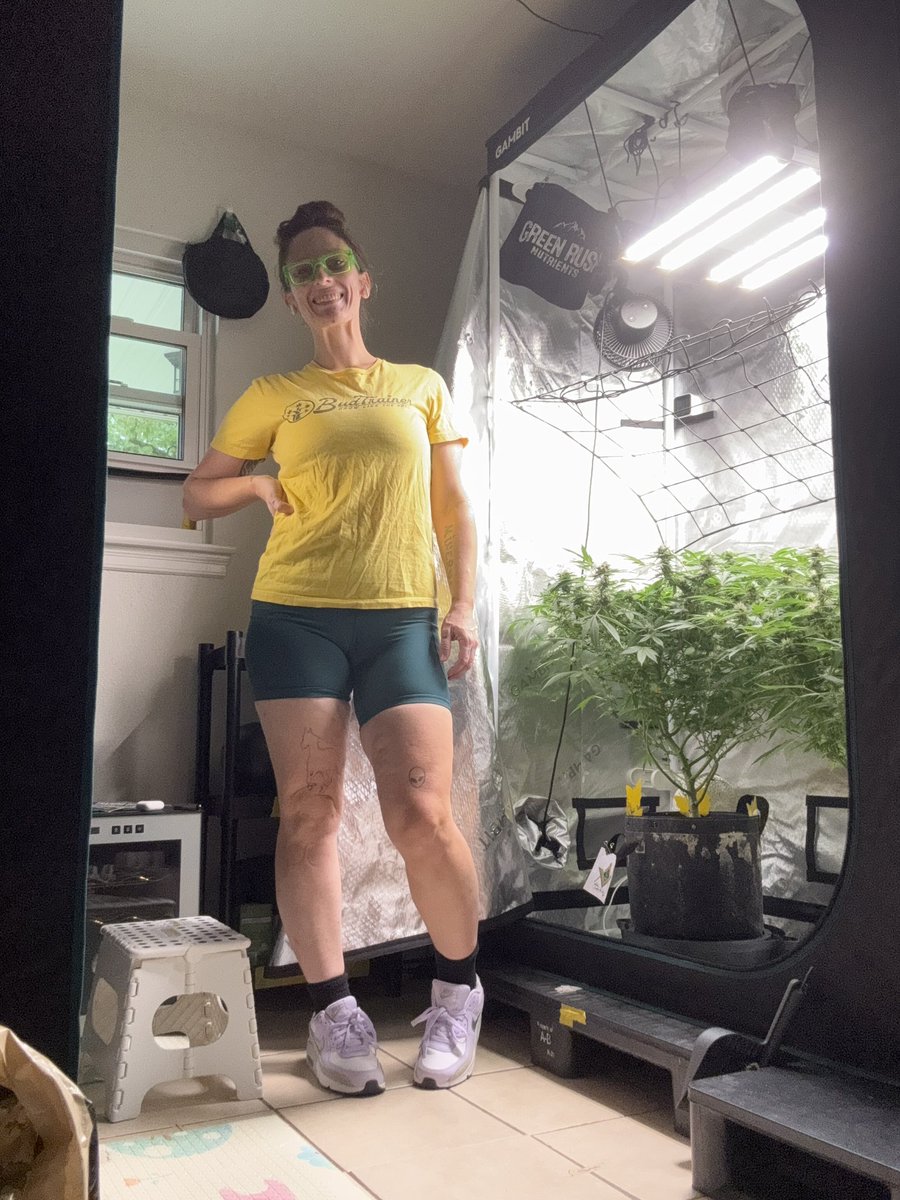 kelsseyyboo's tweet image. Hi I’m #kboo. I’m new to this platform, here’s a quick glance at my indoor  #garden 
@theBudTrainer @GreenRushNutes @DYNOMYCO @GambitGrowing @microbelife @Real_AtlasSeed @420fastbuds @InhouseGenetics @jollypondfarm #gardentalk #autoflower #photoperiod #cannabis #growyourown