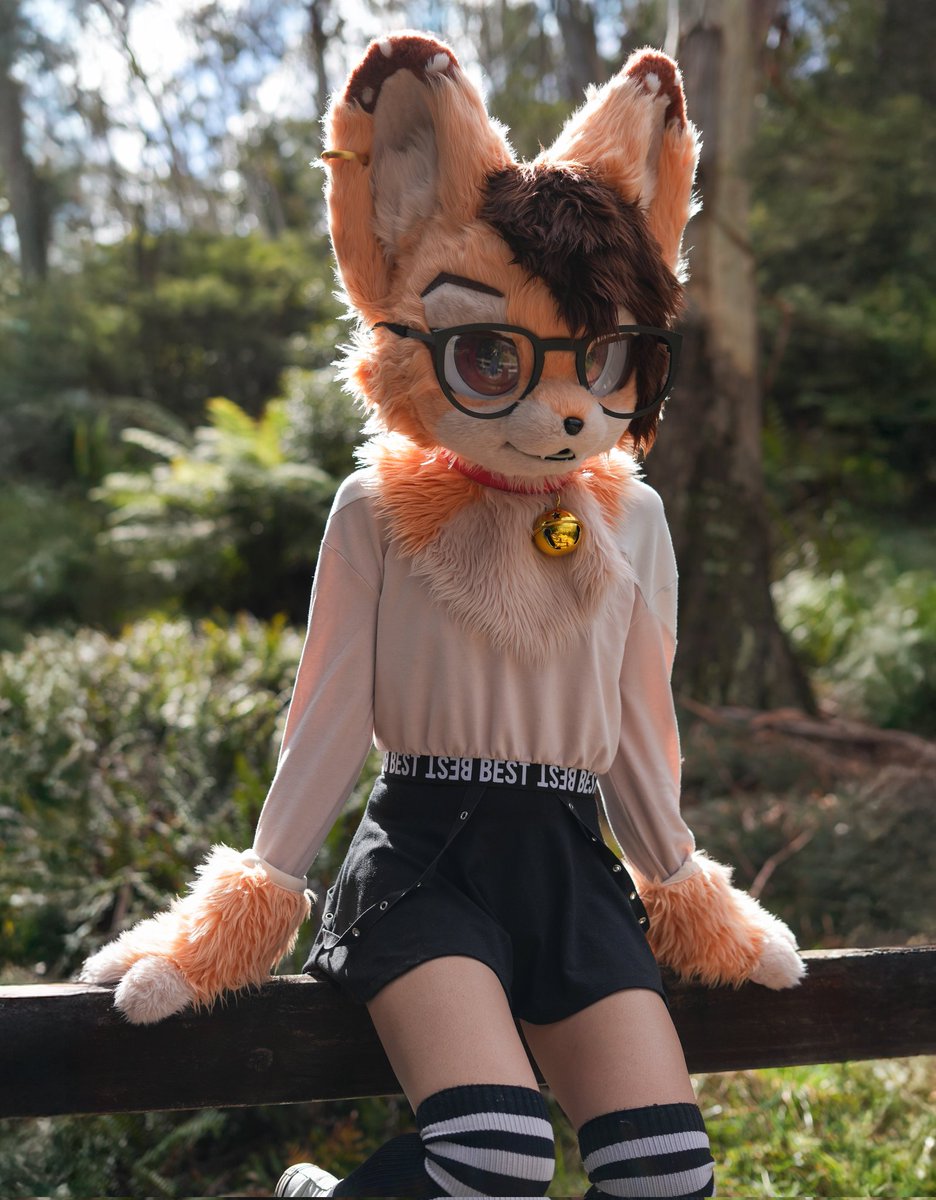 🌳🌲🌳🌲
#furry #fursuit #fursuiter #Femboy