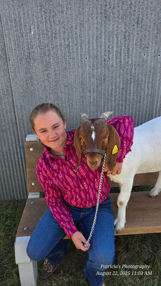 I would have to say that my daughter's fair went well, on top of all this she set the all time record for price per pound on any animal sold here in wibaux's history.  Hard work and sacrifice does pay off, maybe not every time but more often than not.