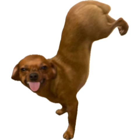 Where do I buy a horse 

I’ve graduated to wife