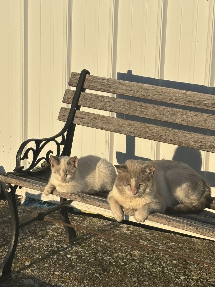 Like father, like son.