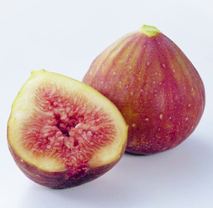 rkbr_info's tweet image. ／
＃RKBラジオ
プレゼントキャンペーン🎁
＼
🎁プレゼント内容
とろけるような甘さが特徴の #福岡いちじく を抽選で5名様にプレゼントにプレゼント✨
#博多とよみつひめ #蓬莱柿 #桝井ドーフィン

🎁応募方法
1⃣@rkbr_info をフォロー
2⃣@JAZENNOHFUKUREN をフォロー
3⃣この投稿をリポスト…