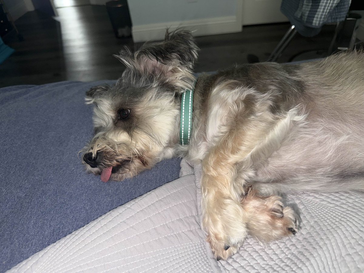 Job Jared tweet media