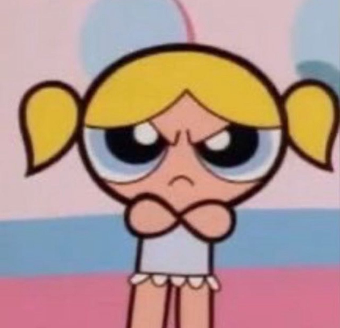 diloş (@kediamayilan) on Twitter photo 