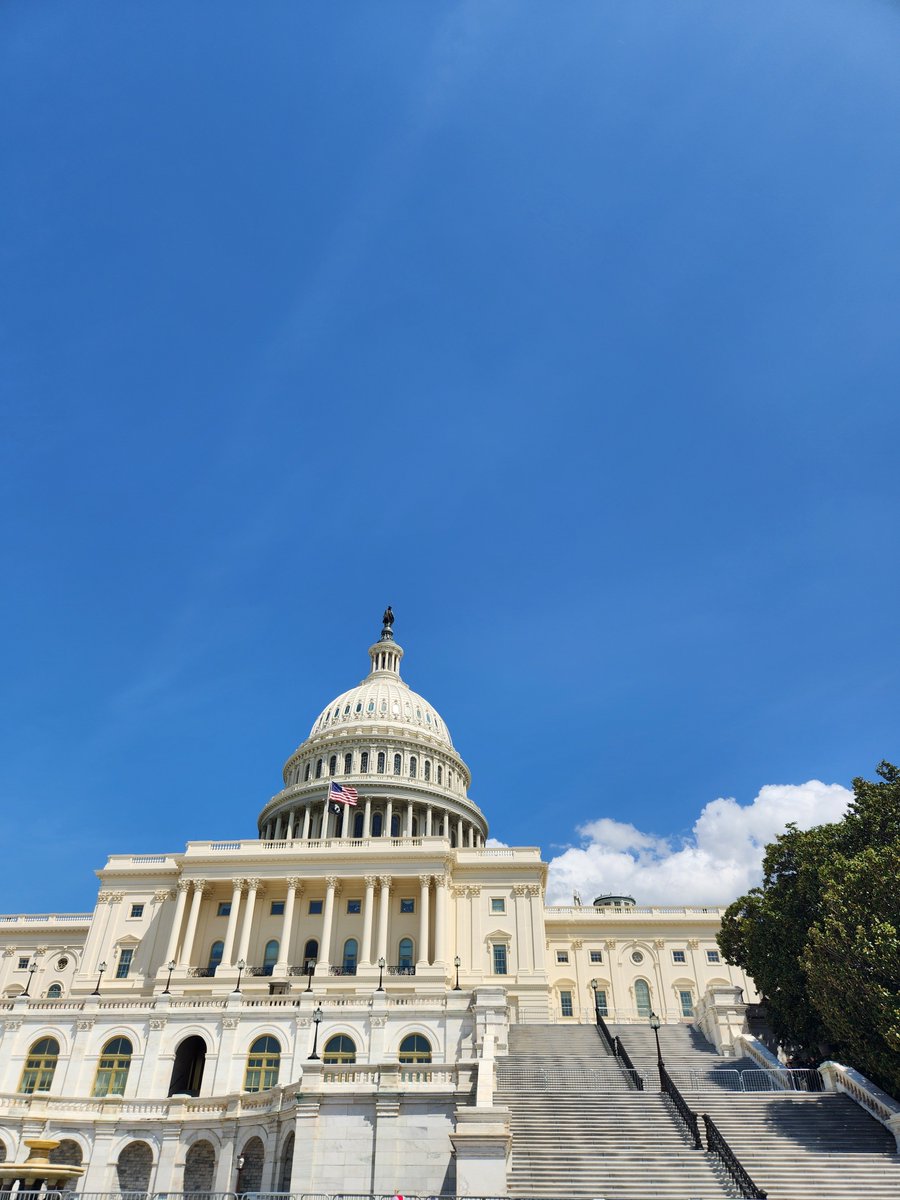 CampelloneLab tweet media