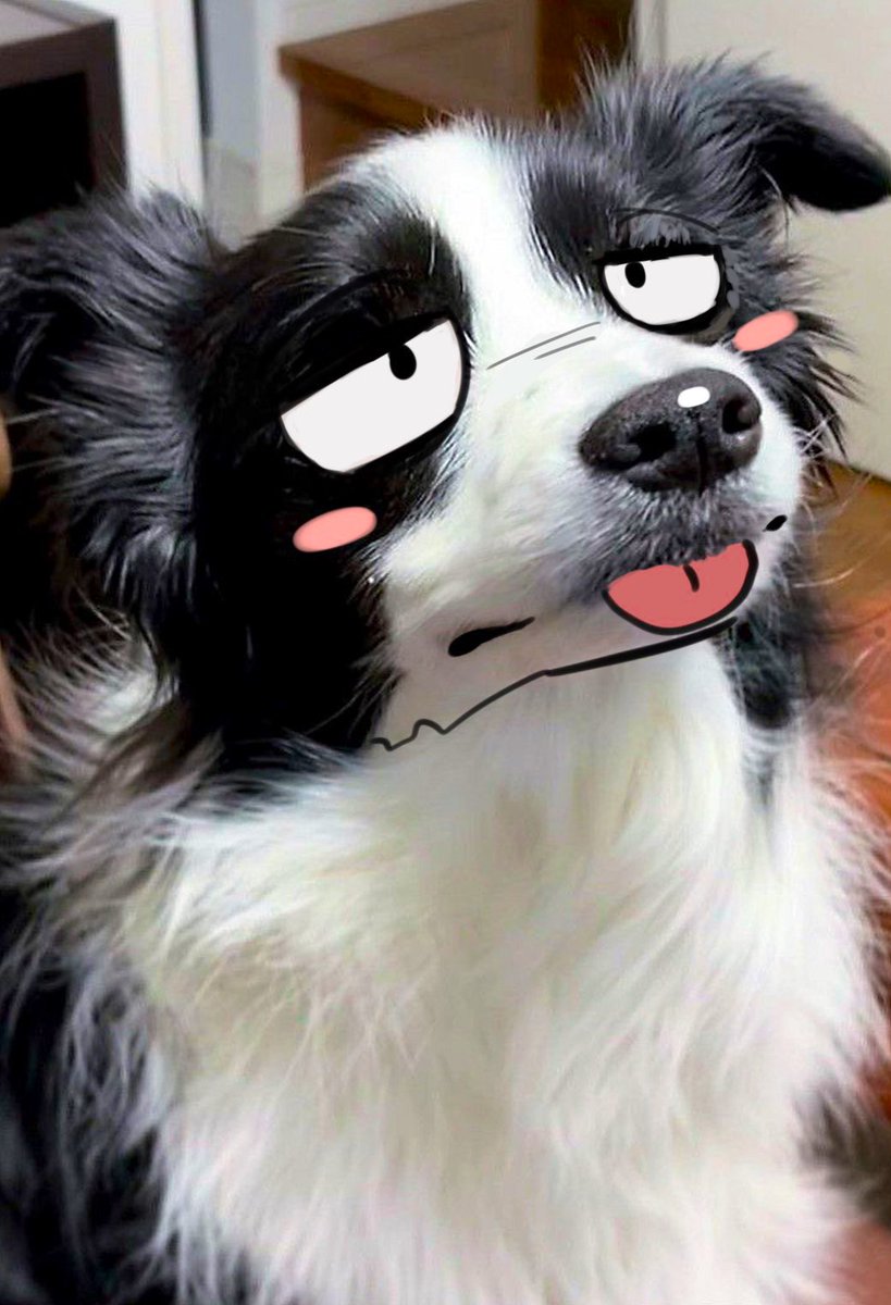 Happy Birthday <a href="/ShiftyCollie/">Collieflower 🌼</a> !!!