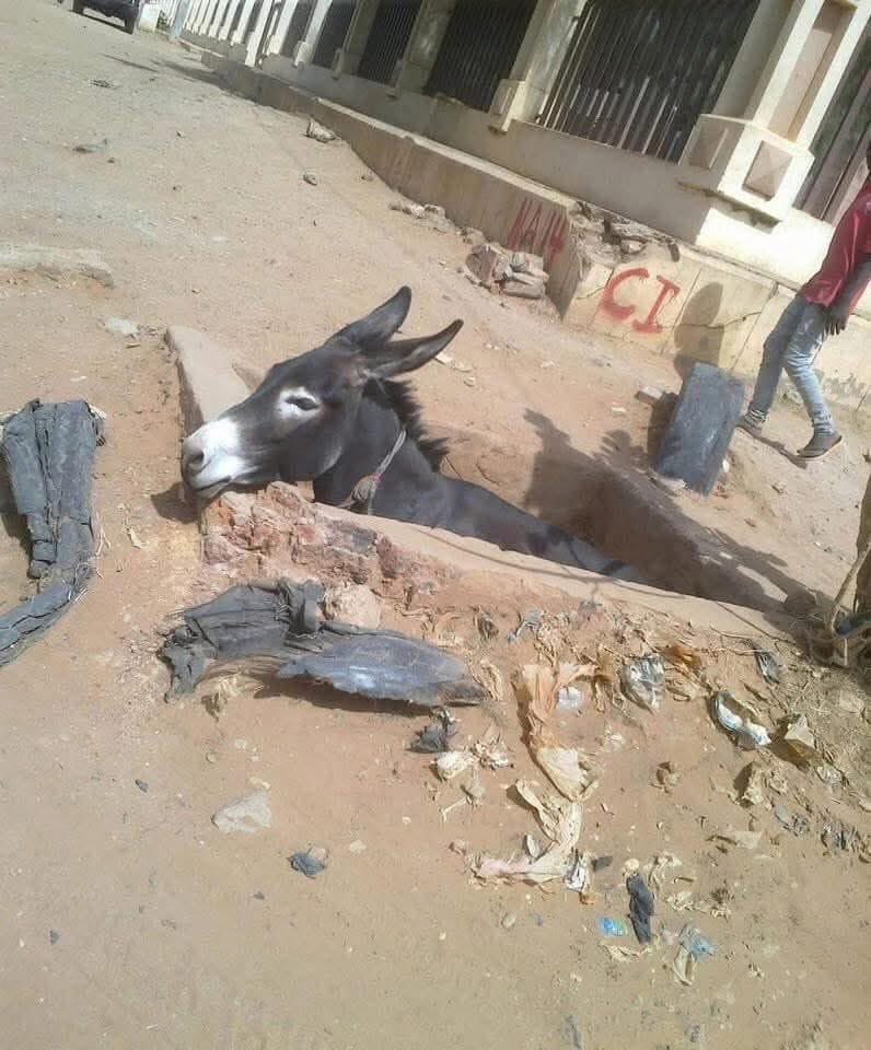 دولة حضرموت السيسبانية لينتزعوها من الارشيف البريطاني .

مافي دولة تقوم من ارشيف 
حنبتوا لنا في الارشيف البريطاني 

ارشيف يعني ماضي يعني تاريخ وتاريخ استعماري انتداب حماية . 

وعاد كمان حتى في الارشيف البريطاني ماكان معكم دولة 🤣

الغباوة هذي منين افتكت علينا ياخلق الله 😂