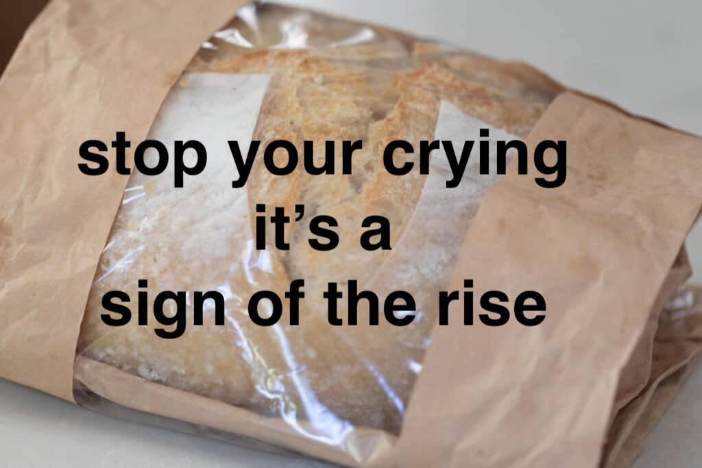 taylor right now: