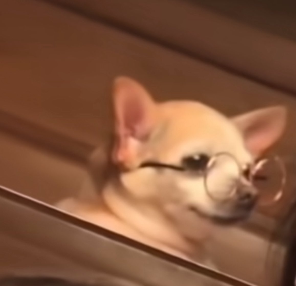 EricIvanVT2's tweet image. Así se ve Willito con esa bata en el cuello la lesbiana mood