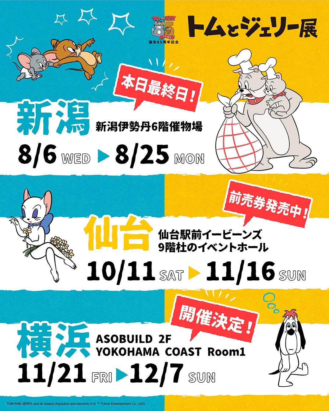 まゆるページ 楽天市場】【30%OFF】マフラー / 公式 CUBE SUGAR ブラッシング