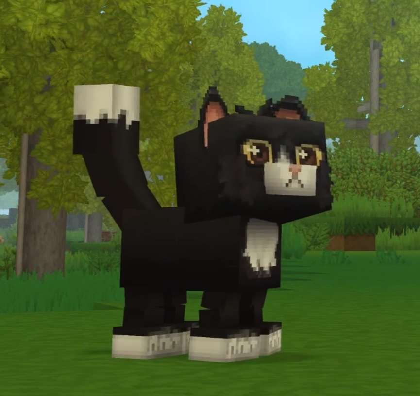 megalbits's tweet photo. Hi @Simon_Hypixel, what are your thoughts on having entity variants such as cat/dog breeds? https://t.co/iogX7MmoCh