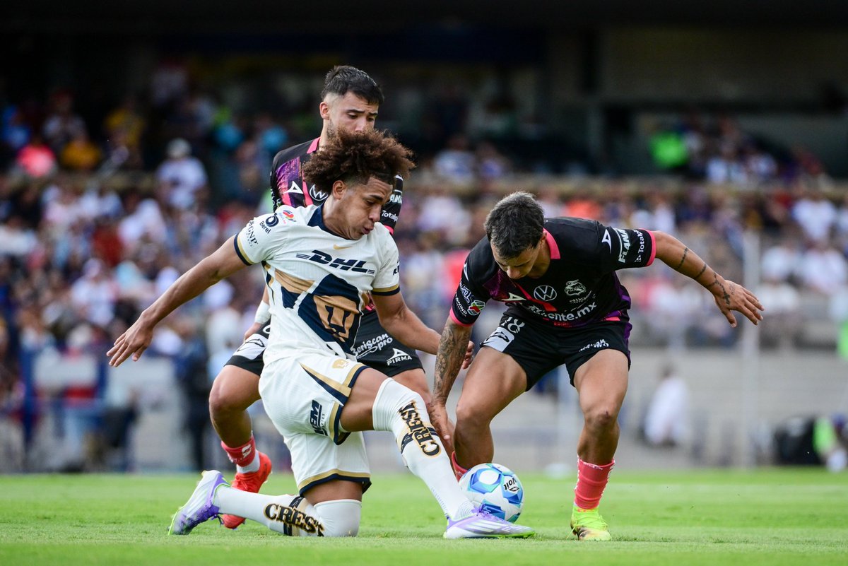 paracomentarse (@paracomentarse) on Twitter photo En CU, los #Pumas y #Puebla empatan sin goles en el cierre de la jornada 6 de la #LigaMX
facebook.com/share/p/1G95Fo…
#Veracruz #bocadelrio #futbol #Apertura2025 <a href="/ParaComentarse/">paracomentarse</a> En CU, los #Pumas y #Puebla empatan sin goles en el cierre de la jornada 6 de la #LigaMX
facebook.com/share/p/1G95Fo…
#Veracruz #bocadelrio #futbol #Apertura2025 <a href="/ParaComentarse/">paracomentarse</a>
