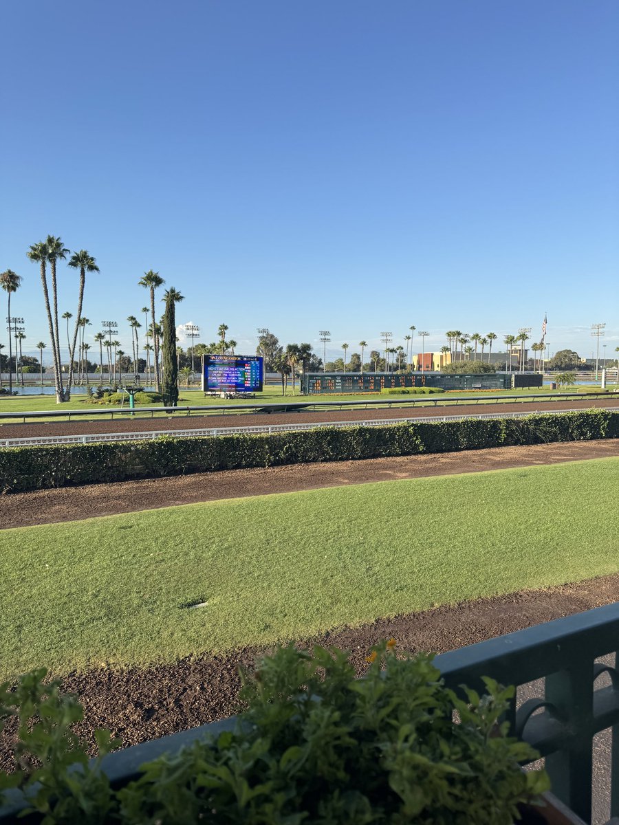 My picks for Sunday <a href="/losalracing/">Los Alamitos Race Course</a> featuring Trials, GI Go Man Go &amp; a $75k pick-6 carryover. 💰 

R1: 6-2-4
R2: 2-5-6
R3: 7-3-1
R4: 3-2-1
R5: 3-7-2
R6: 7-1-3
R7: 7-5-2
R8: 2-3-5
R9: 1-4-3

📺: <a href="/FanDuel_Racing/">FanDuel Racing</a> <a href="/FanDuelTV/">FanDuel TV</a> 
Pick-4 tix &amp; more: racing.FanDuel.com