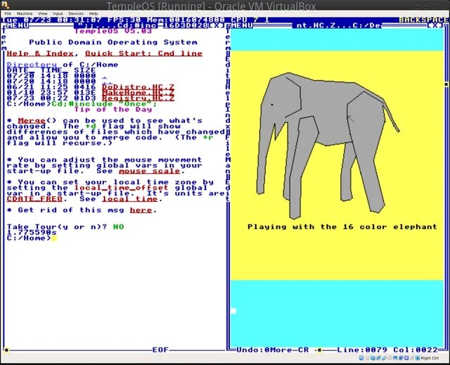 templeOS_sol's tweet image. The lore of templeOS is quite deep 🐘🐘🪽🪽🐘🐘#terrydavis