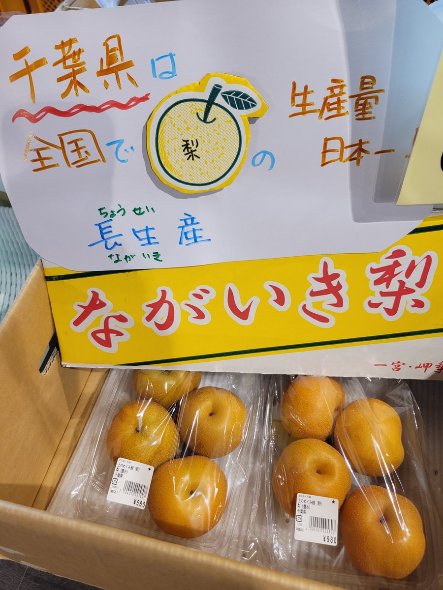 千葉県は梨の生産量日本一
ながいき梨
たくさん並べたよ