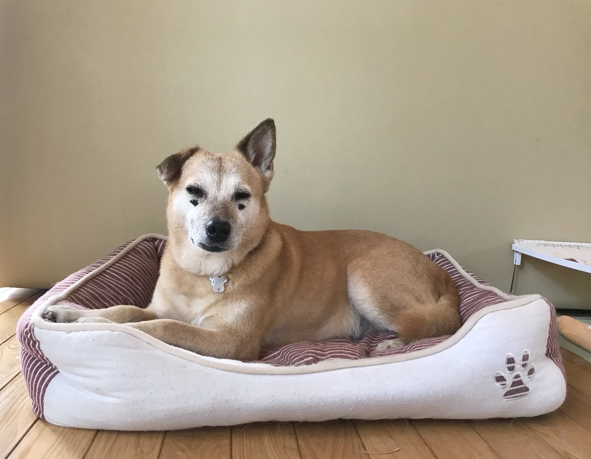 とある夏の日の姐さん