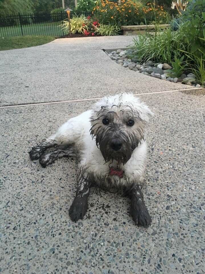 sbtv (🍓) tweet media