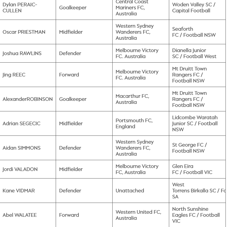 Ftbl.Scout Australia tweet media