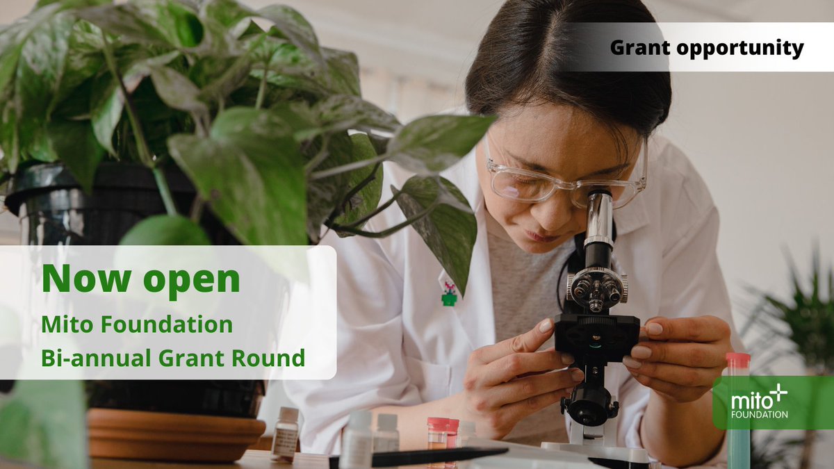 Mito Foundation tweet media