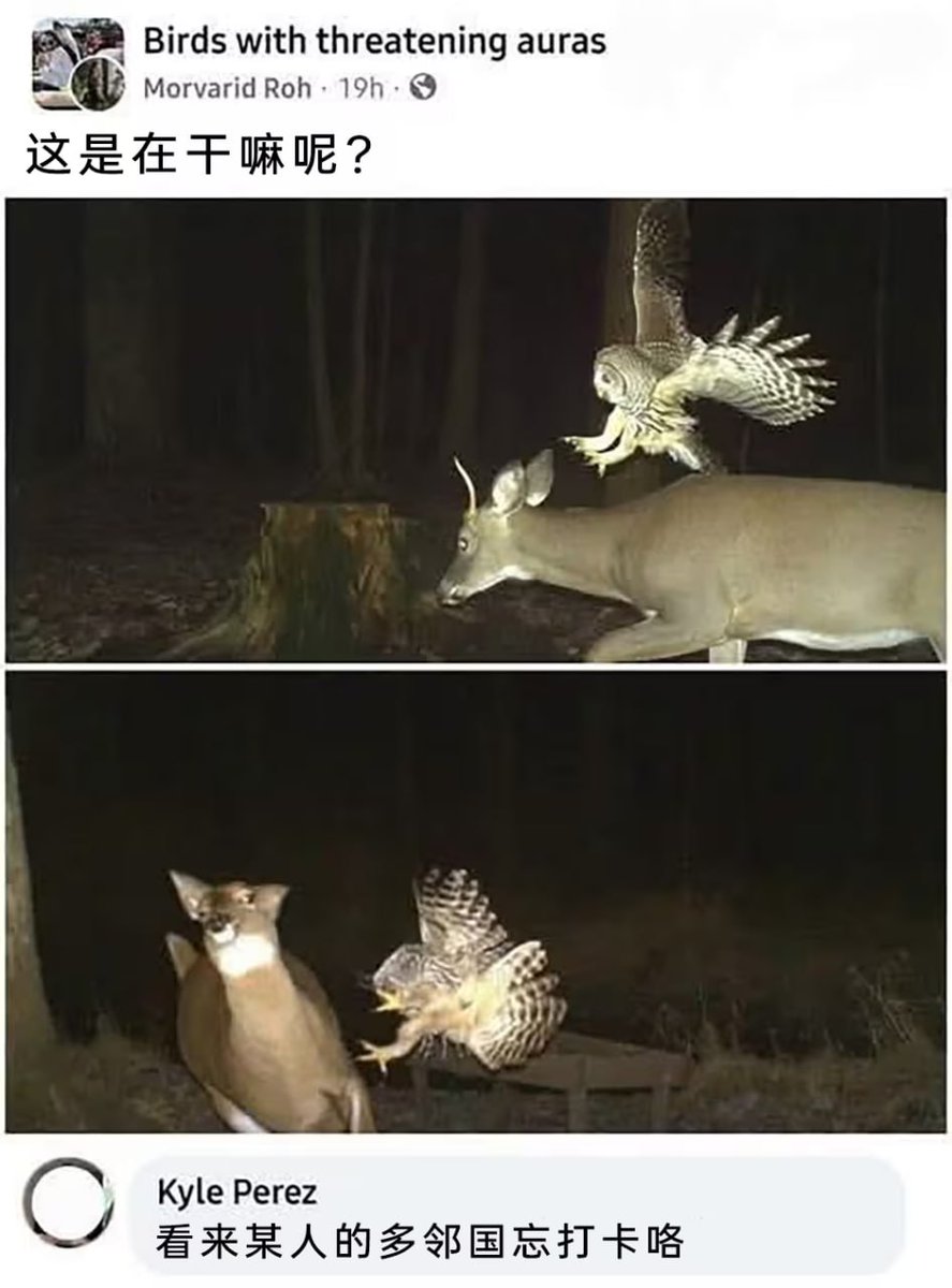 hsn (@hsn8086) on Twitter photo 