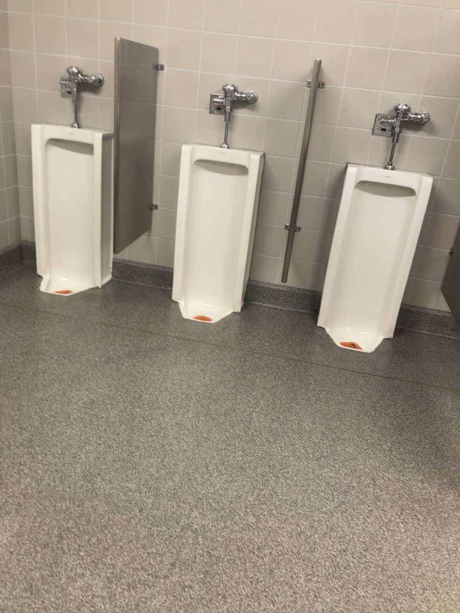 これには初めて会った🚹
あとから床上げたんかな。