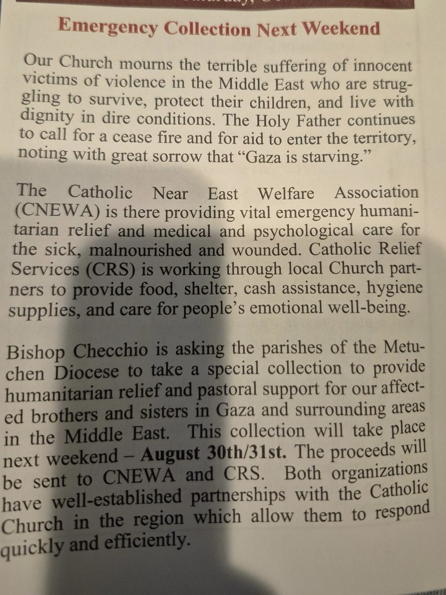 Laura Loomer tweet media