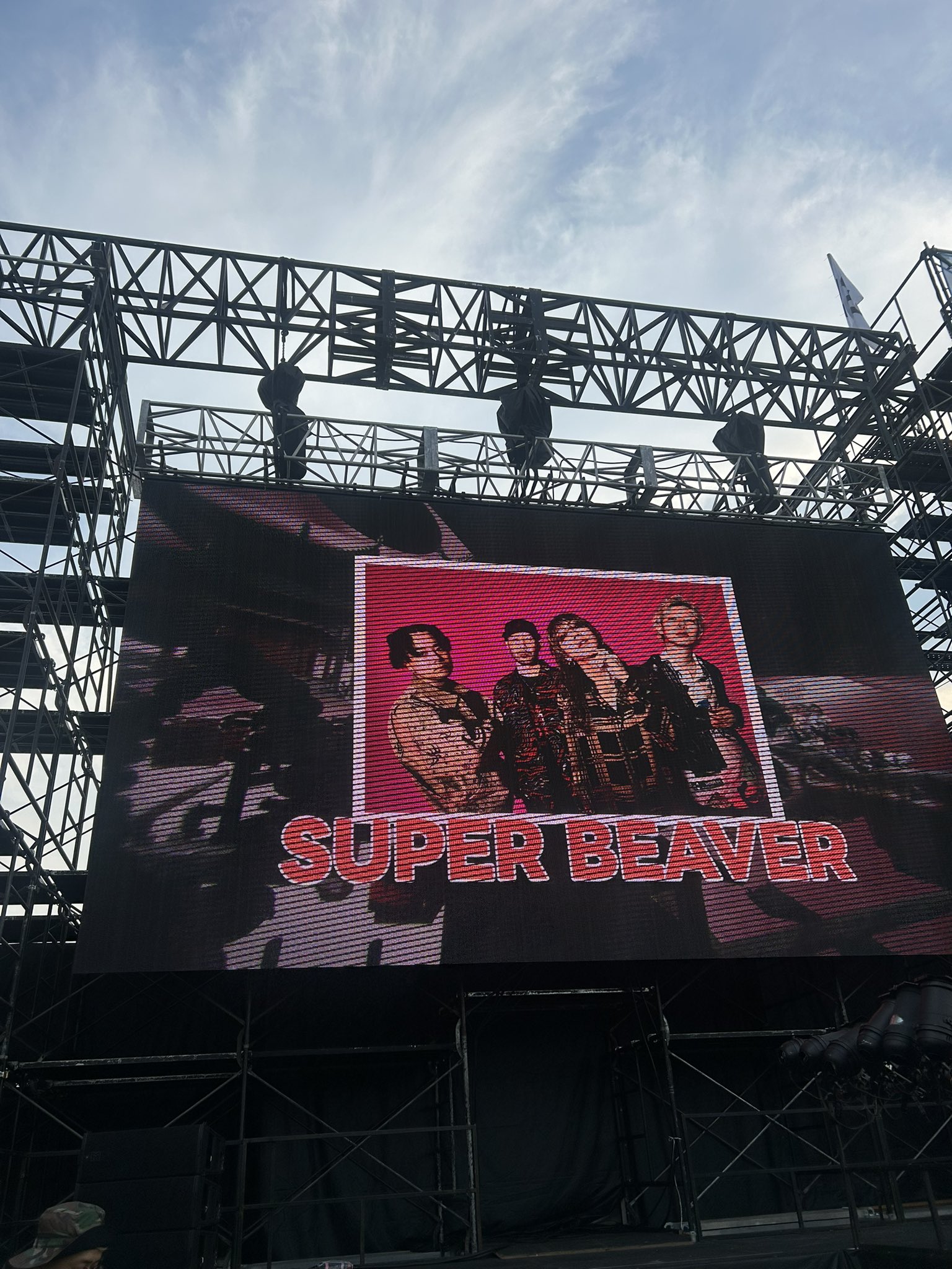 ⚠️最終値下⚠️ SUPER BEAVER タンブラー SUPER BEAVER on X: 