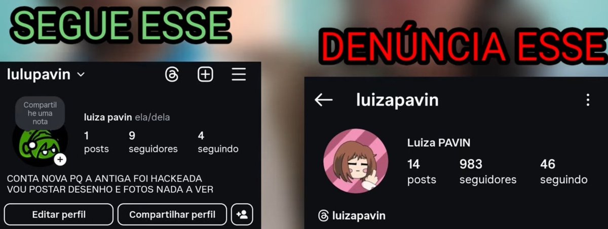 DEPOSITO DA PAVIN tweet media