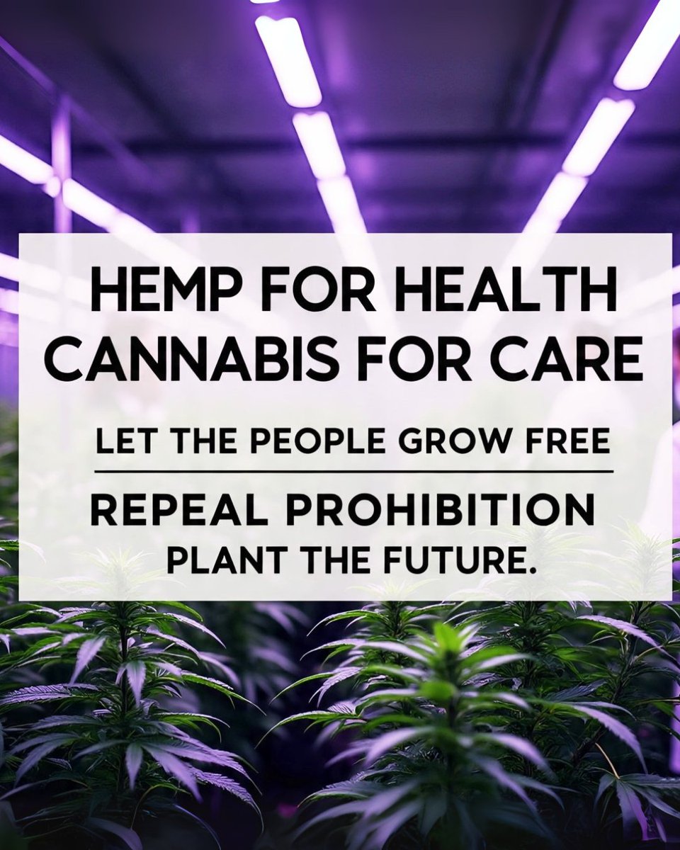 Cannabis Hemp Heritage Act (@chha2020) on Twitter photo They want to put our sacred plant in a corporate box under Schedule III, calling it progress. It's a trap! Cannabis is natural medicine, not a pharma pill. We demand full for true freedom, home grow rights, and health equity. ZERO, not three! <a href="/dougkeenan/">Doug Keenan</a> They want to put our sacred plant in a corporate box under Schedule III, calling it progress. It's a trap! Cannabis is natural medicine, not a pharma pill. We demand full for true freedom, home grow rights, and health equity. ZERO, not three! <a href="/dougkeenan/">Doug Keenan</a>