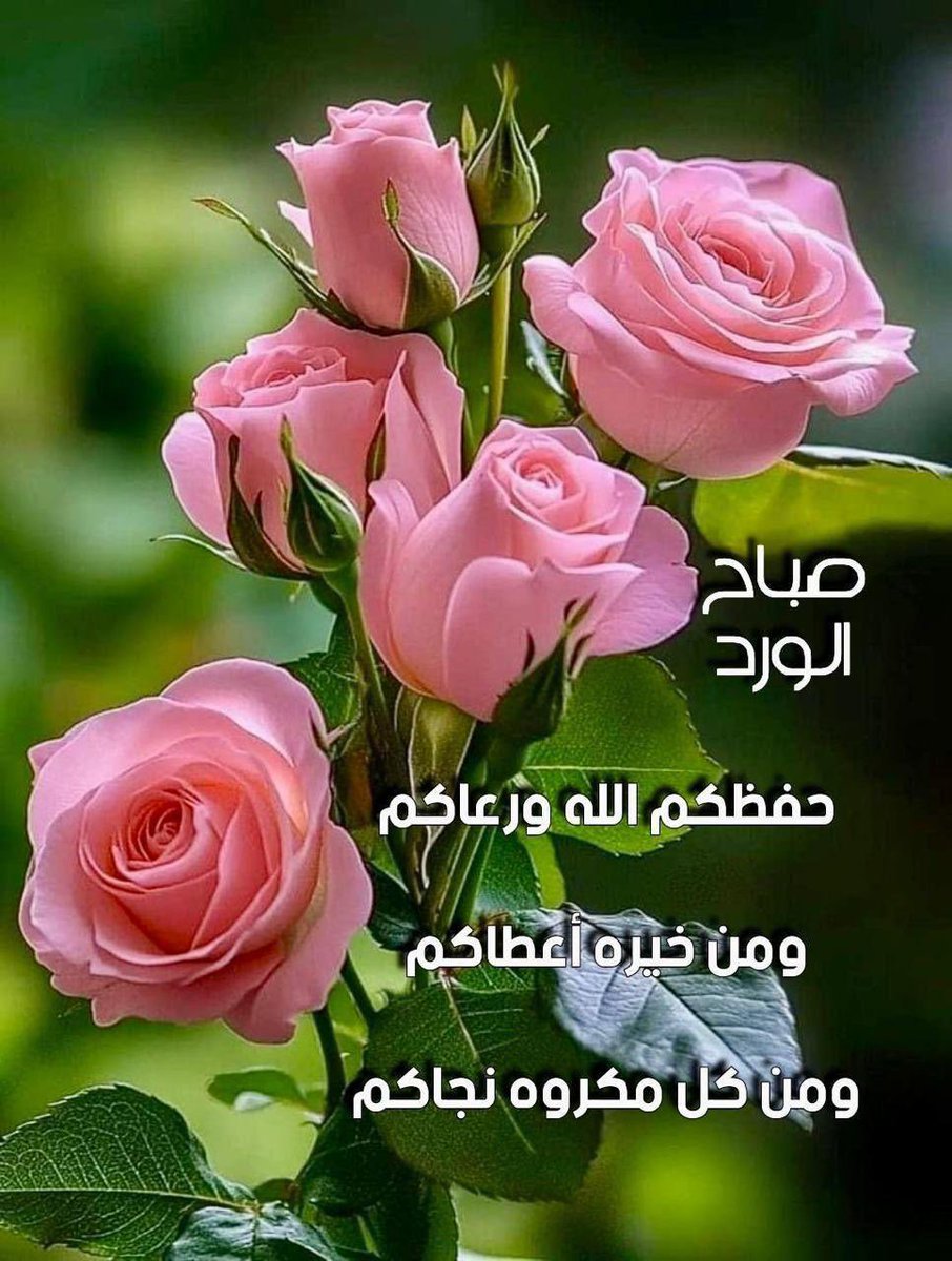 نجمة سدير (@aaasss487) on Twitter photo 