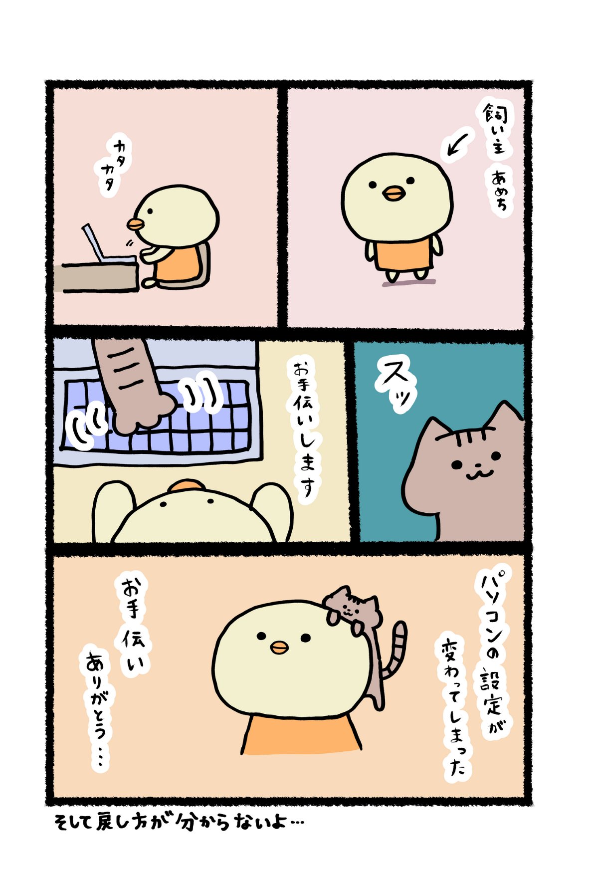 アメチカンのもな@福岡の猫 (@Mh0MLiErcV8E97C) / X