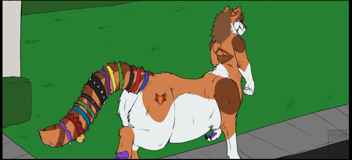 Soah Nexrala Fat Taur Extraordinar tweet media