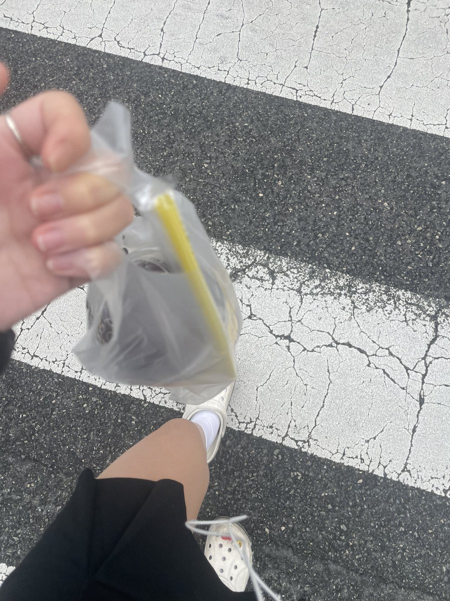 #시흥 #배곧동 내 사랑 1일1아샷추 해야함