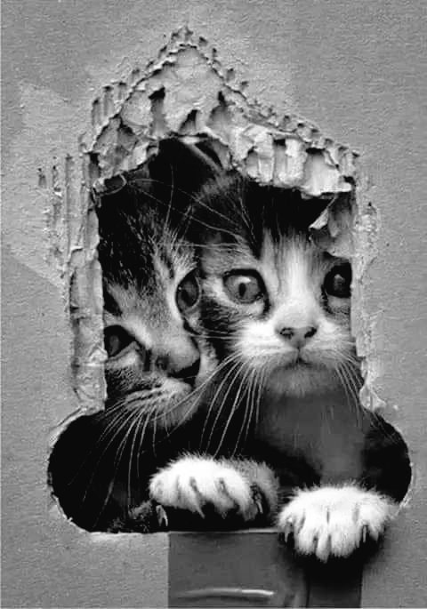 EsRo123's tweet image. Hoy necesitamos el cafecito bien cargado y doble por favor...