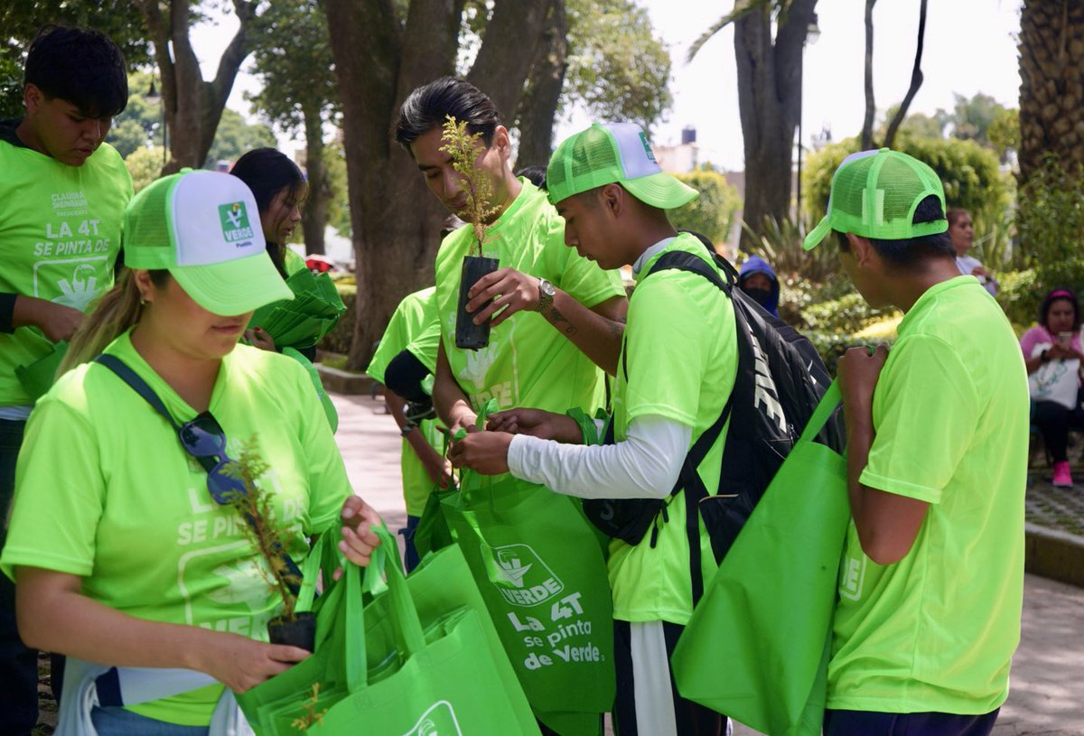 Este Domingo nos lanzamos con toda la energía🔋 junto a la Regidora #VERDE <a href="/carokaroline/">Caro Fabre</a> y el <a href="/PVEMCholula/">Cholula Verde</a>📍 para promover la cultura del #CeroPlástico. ♻️