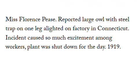 Robert Francis tweet media