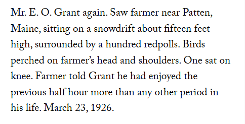 Robert Francis tweet media