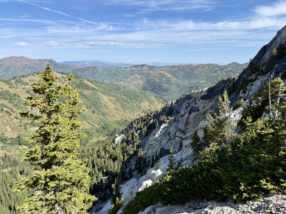Ramiro Garzon (@ragar29b) on Twitter photo Bloodhound Trekkers at Hematology Utah 🩸🐾 — science, grit, and a culture that climbs high. Bloodhound Trekkers at Hematology Utah 🩸🐾 — science, grit, and a culture that climbs high.