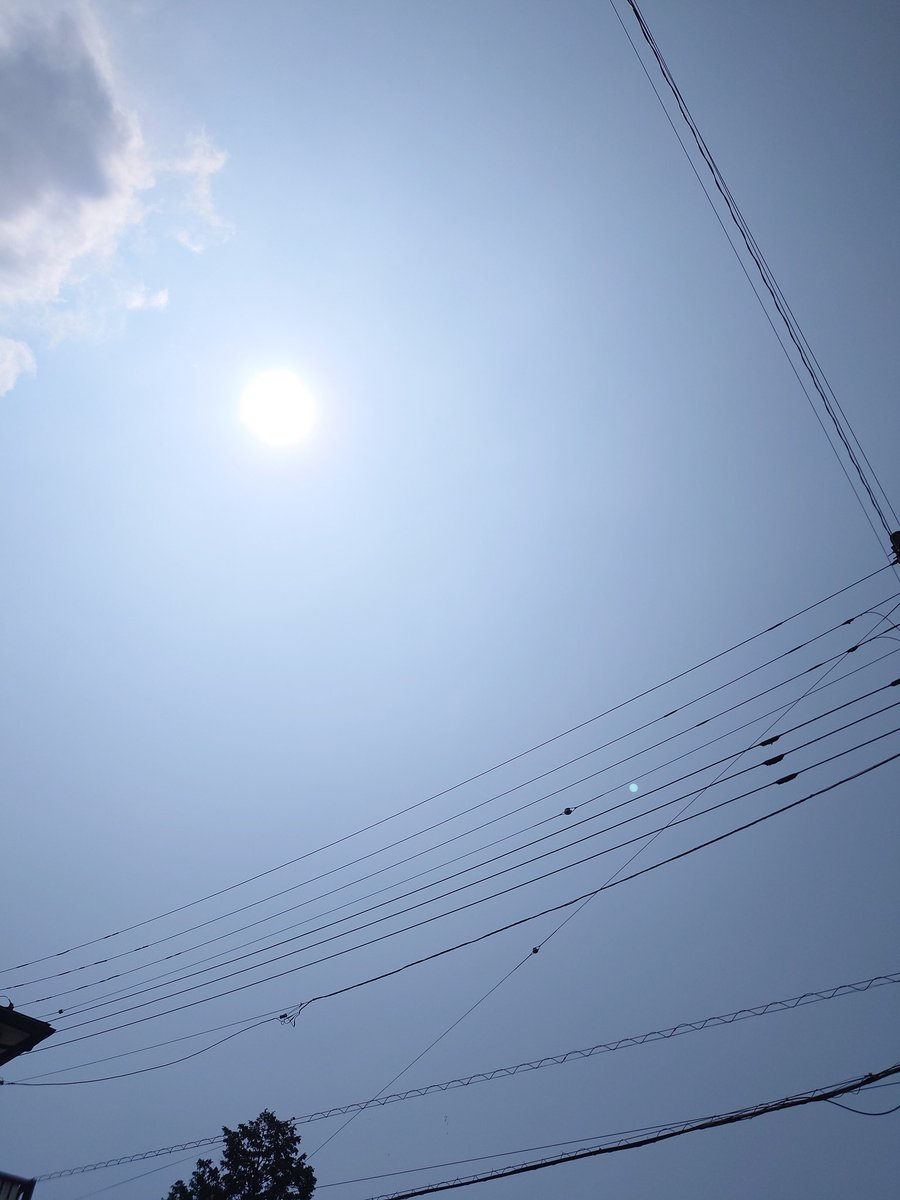 レノ出発します。行ってきます!
いい天気で良かったね。お散歩コースを回って行こうね。