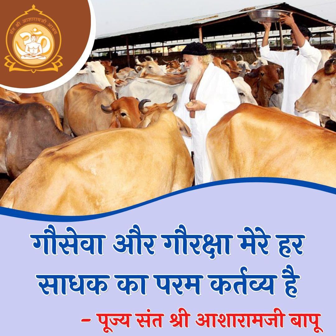 #GauMata
Panchgavya
Sant Shri Asharamji Bapu -
Desi Cow के गोबर के कंडे पर एक चम्मच घी डालकर जलाने से कई टन ऑक्सीजन पैदा की जा सकती है तथा सात्विकता फैलती है🐄🙏