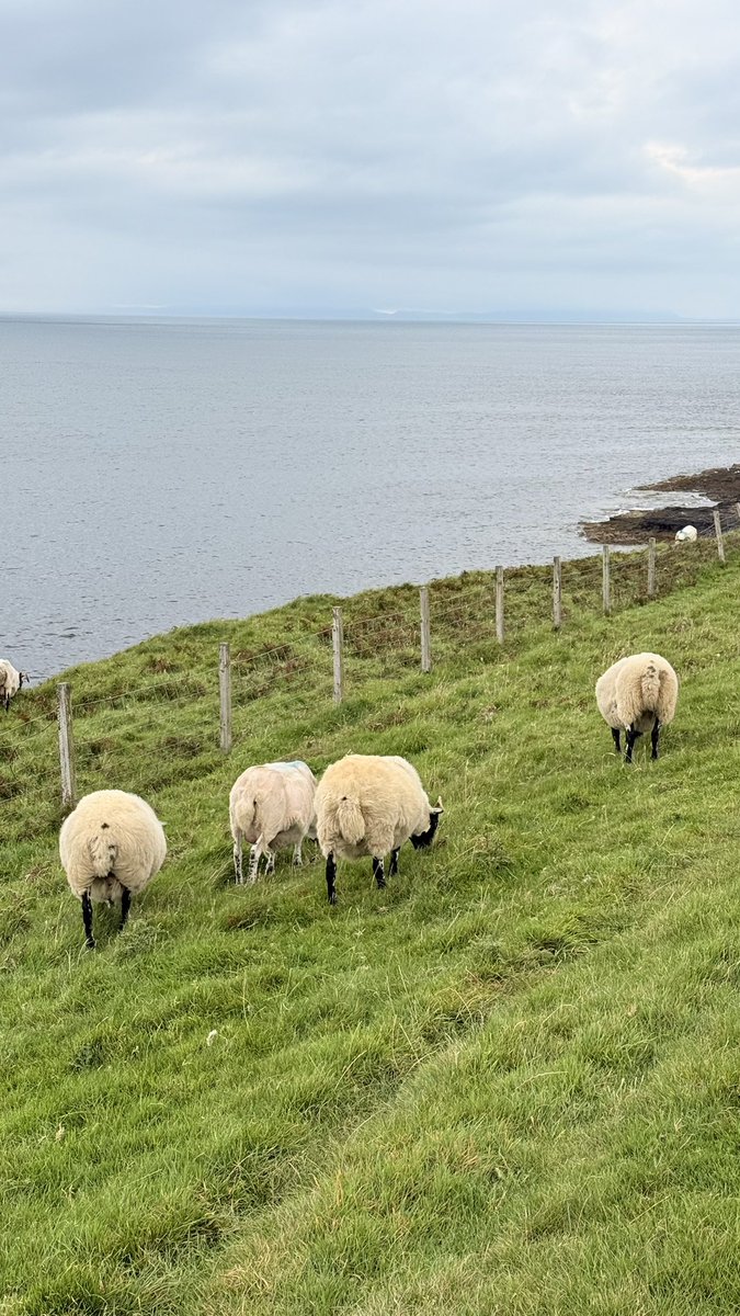 スカイ島に来ました。世界の果て感ある
