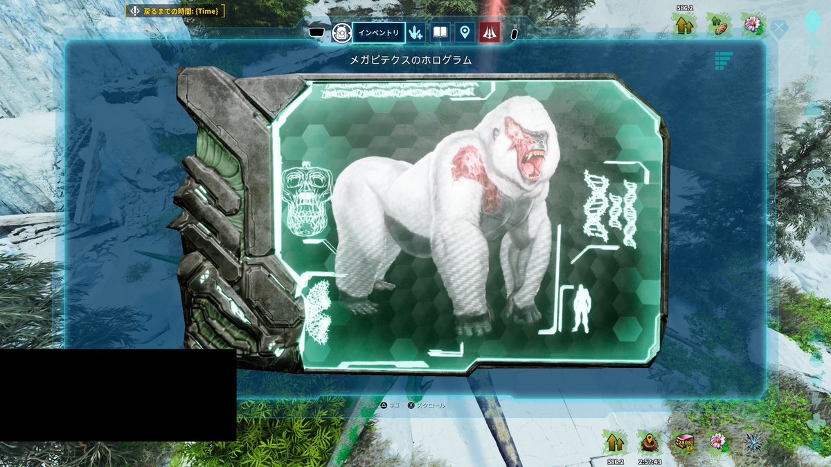 ArkHeyhey's tweet image. 先日の車両浸水で全損になり新しい車の段取りやったり部品の取り外しやったり仕事が忙しかったりイベントごとが重なったりで全然ゆっくりARKが出来ない今日この頃😪
そんな中昨日は急遽蜘蛛ゴリラ便乗ドラゴンのお手伝い🥳
デイノスクス3人で行ったけど普通に体力ミリで死にかけた🙄