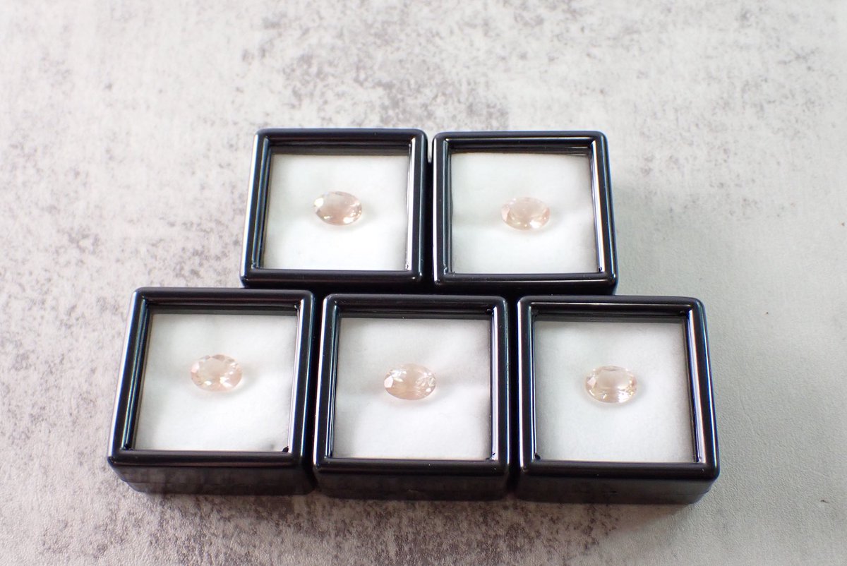 🎁Xプレゼントキャンペーン🎁

💎オレゴンサンストーン💎
を抽選で5名様にプレゼント！

【応募方法】
1️⃣<a href="/differencee31/">違いを楽しむ宝石屋（ディファレンシー）</a>をフォロー
2️⃣このポストをいいね&amp;リポスト

※引用RTは無効です⚠️

締め切り
8/27 23:59まで！