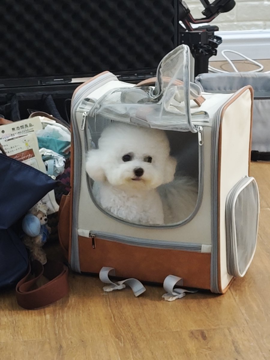 Alebert.JP (@alebert_jp) on Twitter photo 先週の金曜日は犬用ケージの撮影でした📸
モデルさんもわんちゃんも本当に素敵で、現場がずっと和やかな雰囲気✨
ケージの良さを伝える撮影だったのに、気づいたらモデルさんの笑顔とわんちゃんの可愛さに見とれてしまいました🐶💕
どのカットも最高で、どっちが主役かわからないくらい…😆 先週の金曜日は犬用ケージの撮影でした📸
モデルさんもわんちゃんも本当に素敵で、現場がずっと和やかな雰囲気✨
ケージの良さを伝える撮影だったのに、気づいたらモデルさんの笑顔とわんちゃんの可愛さに見とれてしまいました🐶💕
どのカットも最高で、どっちが主役かわからないくらい…😆