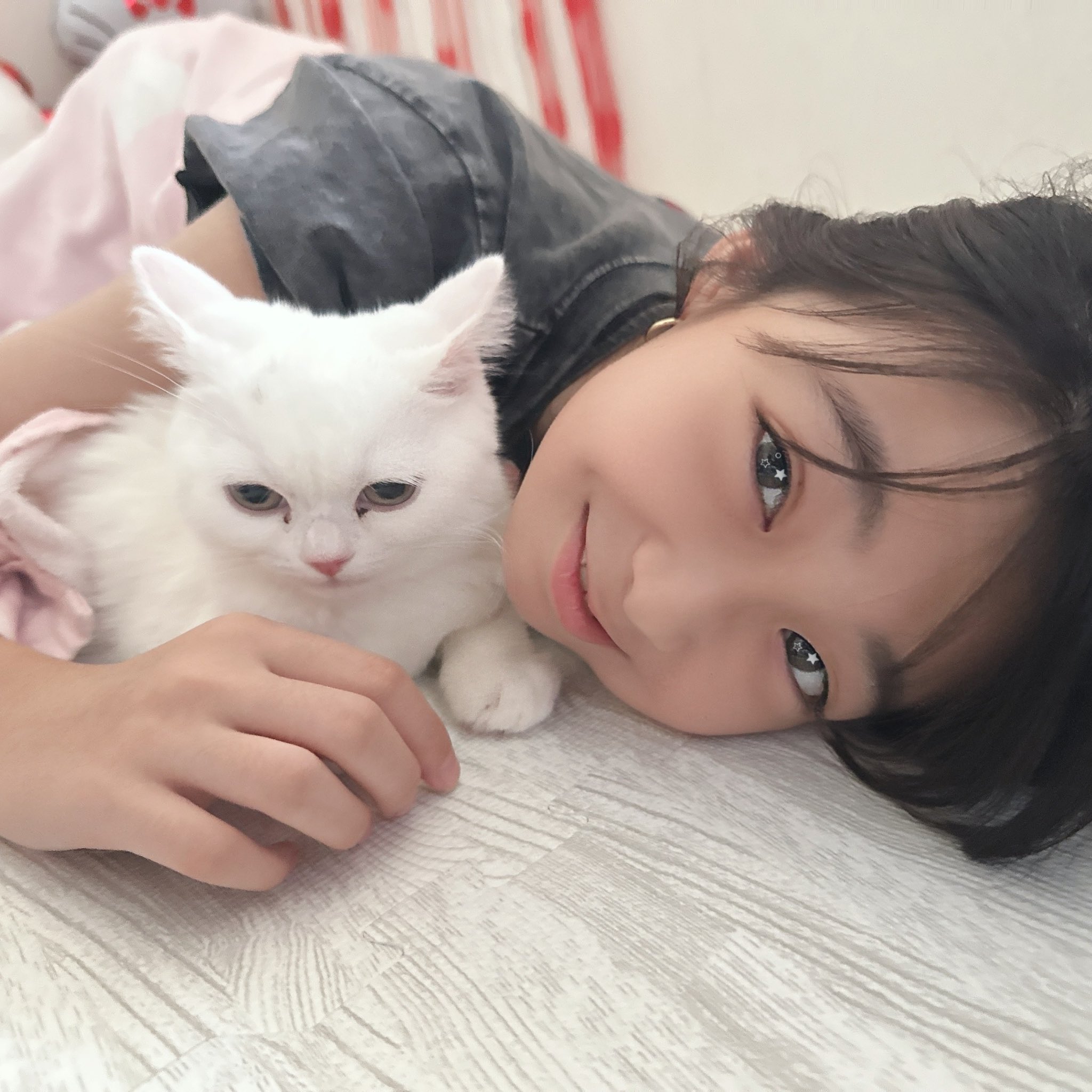 ＼即購入OK／★ネコちゃん！！店舗限定 RichVeilBra キャットタワー 猫壱 バリバリボウルタワー レギュラー クリア