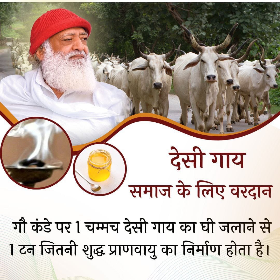 #GauMata
Panchgavya
Sant Shri Asharamji Bapu -
Desi Cow के गोबर के कंडे पर एक चम्मच घी डालकर जलाने से कई टन ऑक्सीजन पैदा की जा सकती है तथा सात्विकता फैलती है🐄🙏